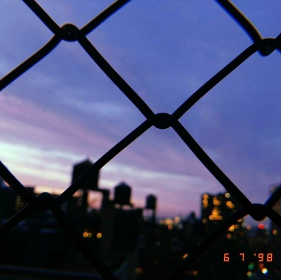 Meet your Posher, Elly - Picture 1 of 1